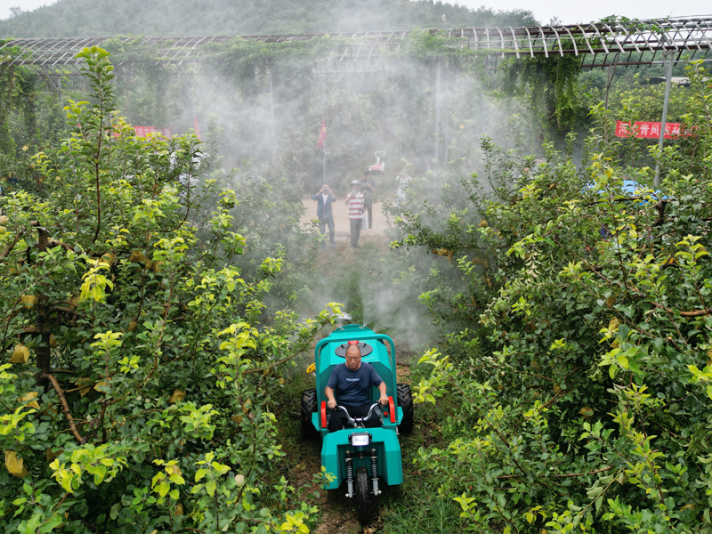 自走式風送果園打藥機果樹植保作業(yè)